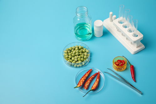 辣椒豌豆食品安全農(nóng)業(yè)科技食品培育攝影圖 插畫 下載至來源處