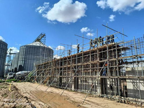 劉曉峰一行蒞臨玻利維亞圣胡利安大豆副產(chǎn)品加工廠項(xiàng)目并慰問員工